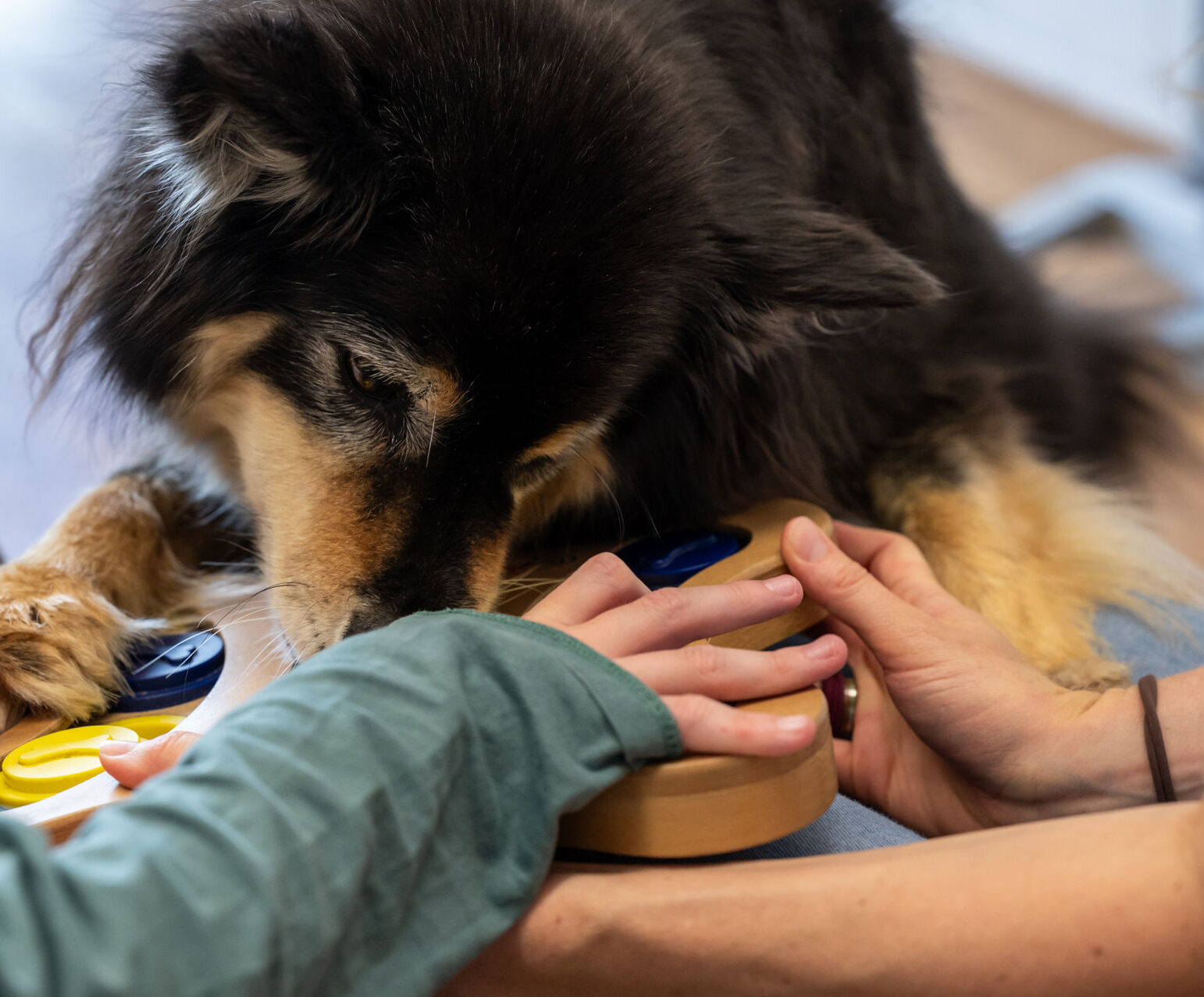Tiergestützte Therapie